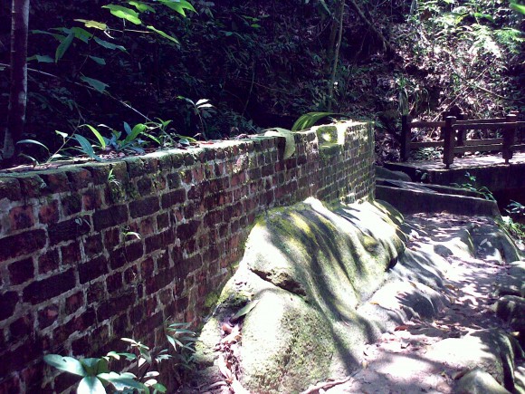brick wall at Jungle Fall