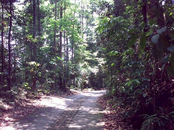 Pathway to light