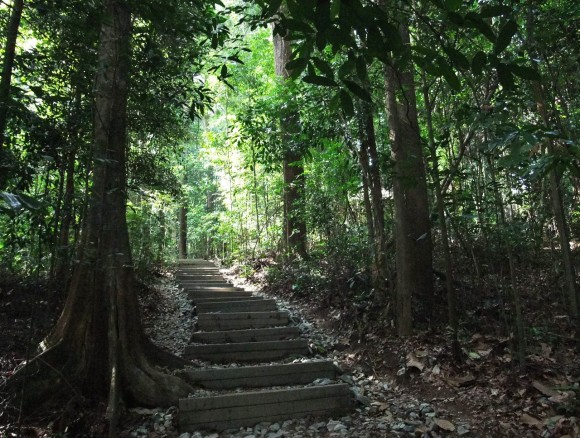 up the steps of Jungle Fall path