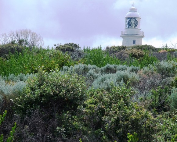 Cape Naturaliste Lighthouse