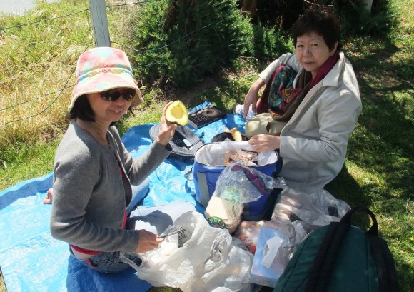 Picnic lunch at Yallingup lookout - you can actually sleep in the shade on the grass!