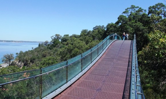 solid steel and glass treetop walk