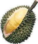 durian