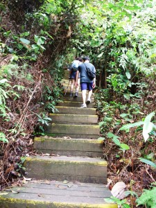 up the steps of Dairy Farm path