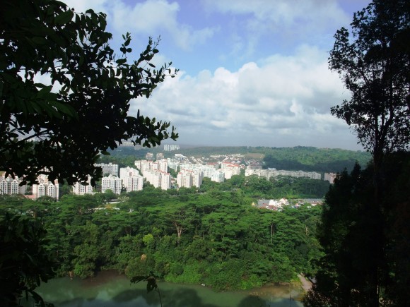 HDB apartment blocks in the distance