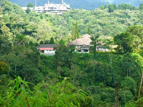 OMF from Strawberry Park and Pahang Sultan's bugalow in background