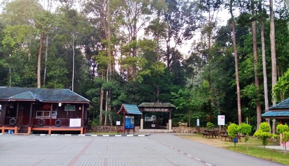 At the entrance of Gunung Belumut trek