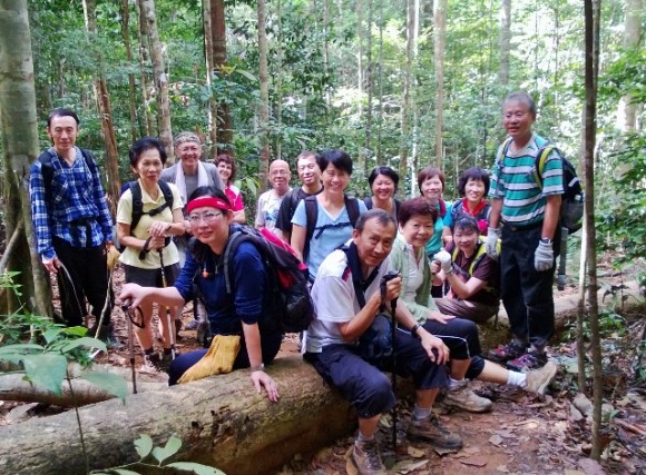 Sixteen Singapore trekkers in Gunung LambaK