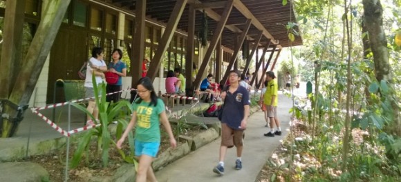 Ranger's Station in heart of MacRitchie Reservoir