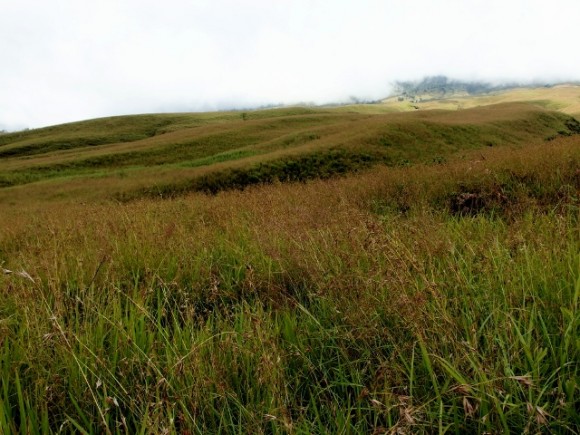 P4280090 (640x480) Gentle slopes covered with grass