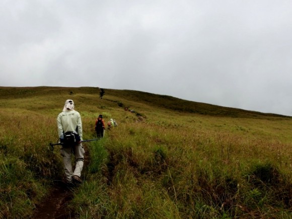 Easy walk in grasslands at the beginning