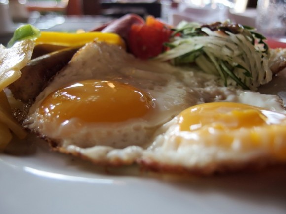 P5030375 (640x480) Sunny side of a lazy morning