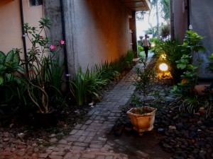 P4270062 lights to illuminate your path in the middle of the year