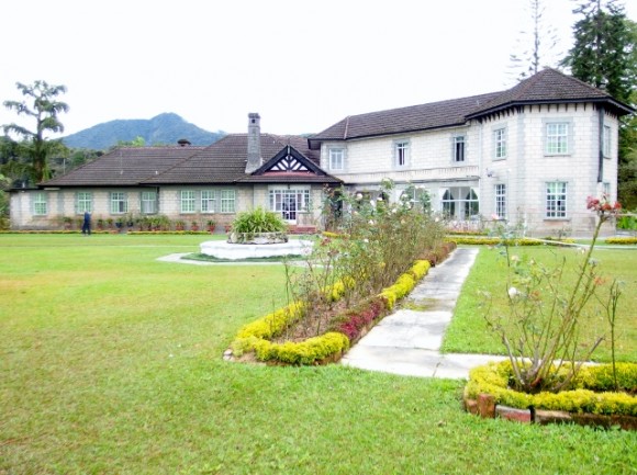 Another view of the OMF Bungalow from the swing