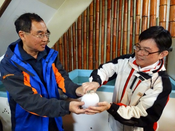 DSC02833 (640x481) Passing the puffer fish to the pharmacist