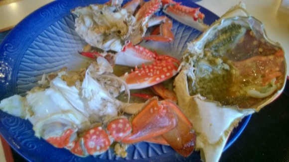 WP_20141121_067 (640x360) Crab