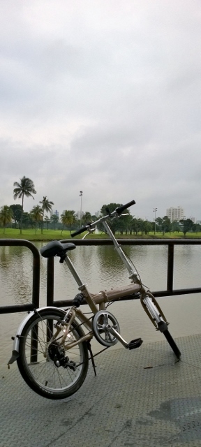 WP_20141226_001 (288x640) On a downcast day at a fishing jetty overlooking the Jurong Country Club Golf Course