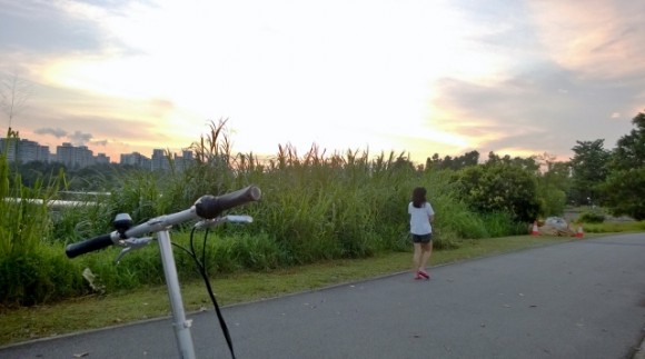 WP_20150107_002 (640x357) At about 6.30pm.