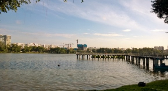 Metal boardwalk that juts into the lake. Nice job Jurong Town Corporation.