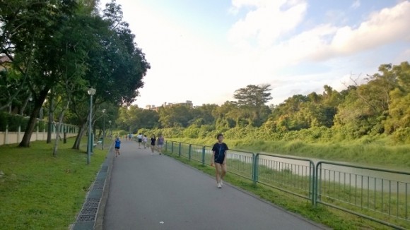 On the park connector besides Faber Garden but facing Ayer Rajah Highway and Teban 