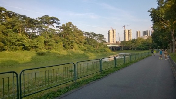 On the park connector beside Faber Gardens and facing Boon Lay Way and Clementi