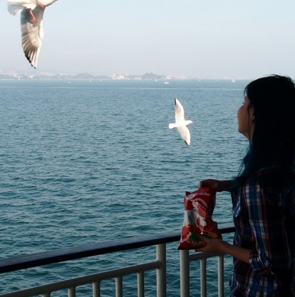 PB220174 (635x640) Feeding the seagulls prawn crackers.