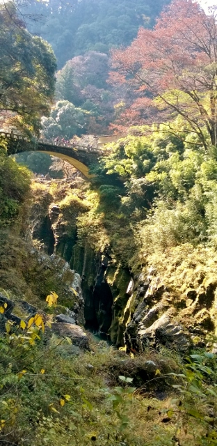 WP_20141123_018 (312x640) Scenic bridges and slopes.