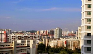 Public housing: view from my bedroom window