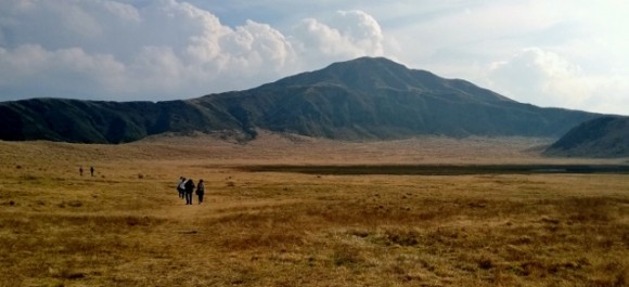 The autumn grassland was dry and browned.