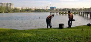 The park is always being cleaned