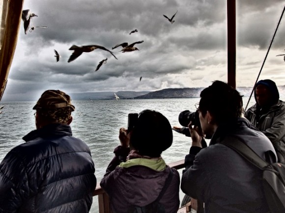 Seagulls came looking for their breakfast