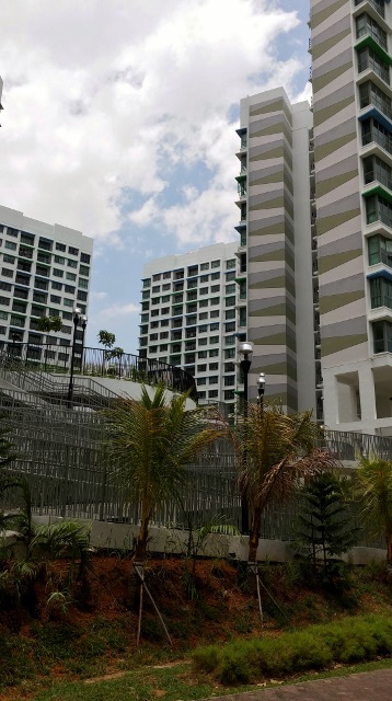 Beautiful public housing HDB flats by the river.