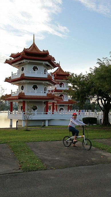 Tern in front of the twin pagoda