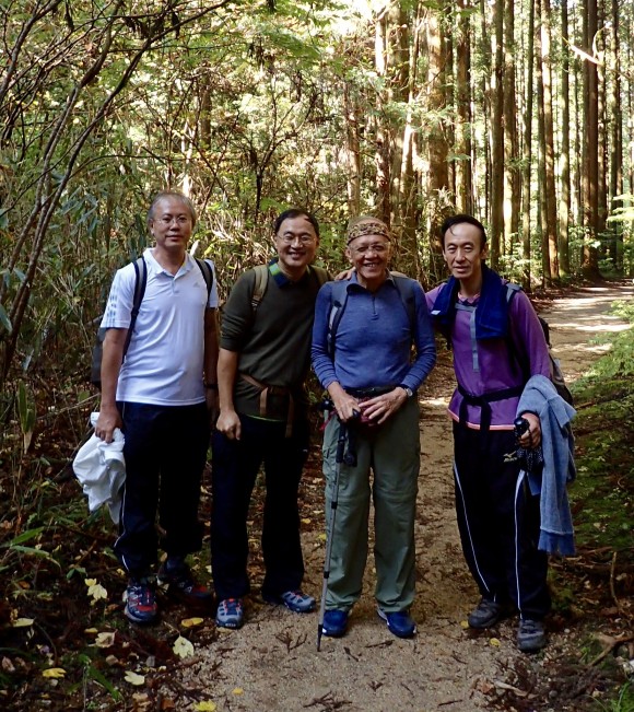 Men standing like wood in the woods. Ha ha.