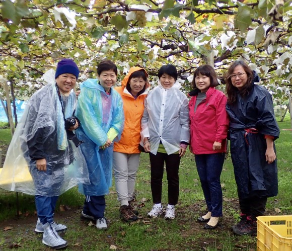 Street smart Singaporean women plucked shrewdly. Many green grapes were seen, but few were chosen.