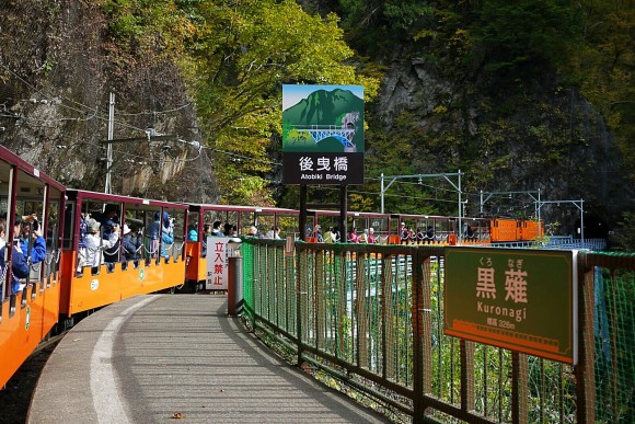 Another view of the orange train (Credits: Ruby)