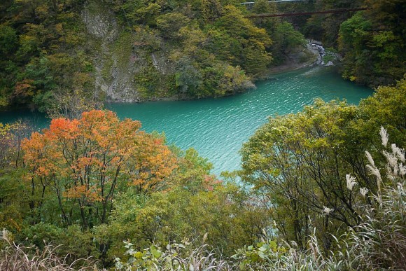 The turquoise waters of Kurobe river below the ravine. (Credits: Ruby)