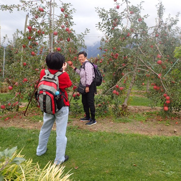 Maybe its more of photo taking than apple picking! Haha