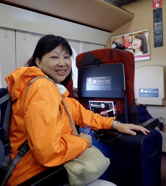 The joy and pain of taking the bullet train - fast and costly.